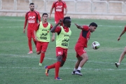 تمرینات پرسپولیس