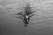 شنای موزون بانوان در المپیک ریو 2016