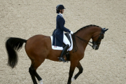اسب سواری در المپیک ریو 2016