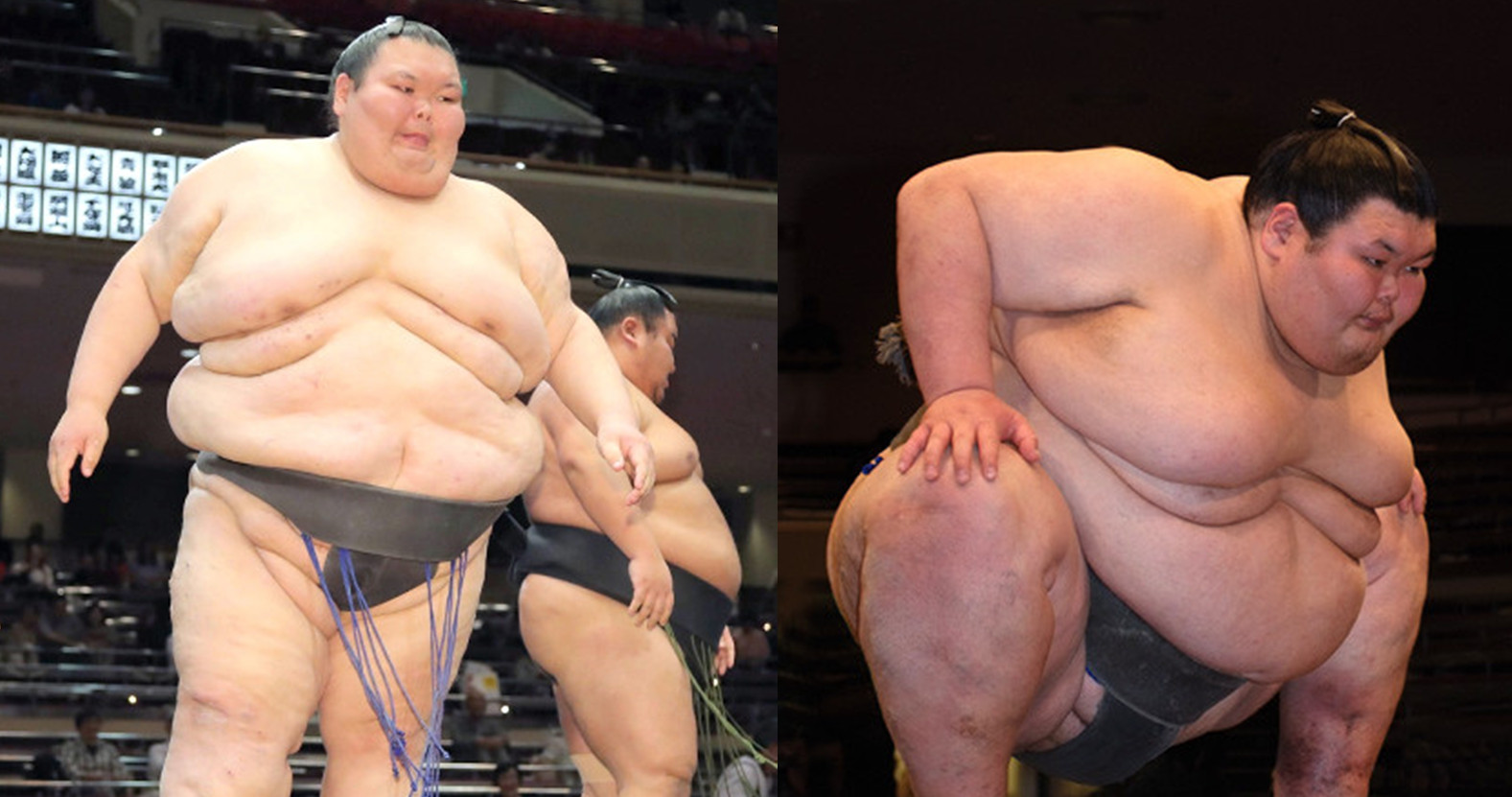 اورورا ساتوشی