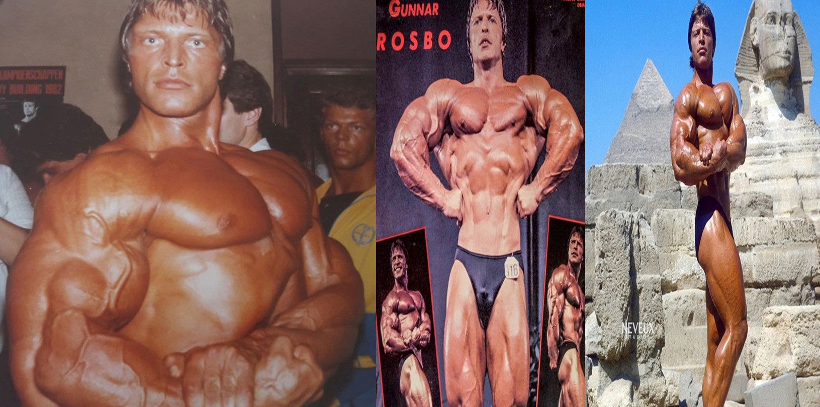 گونار لوسبو