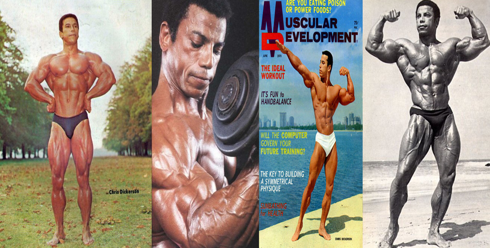 کریس دیکرسون