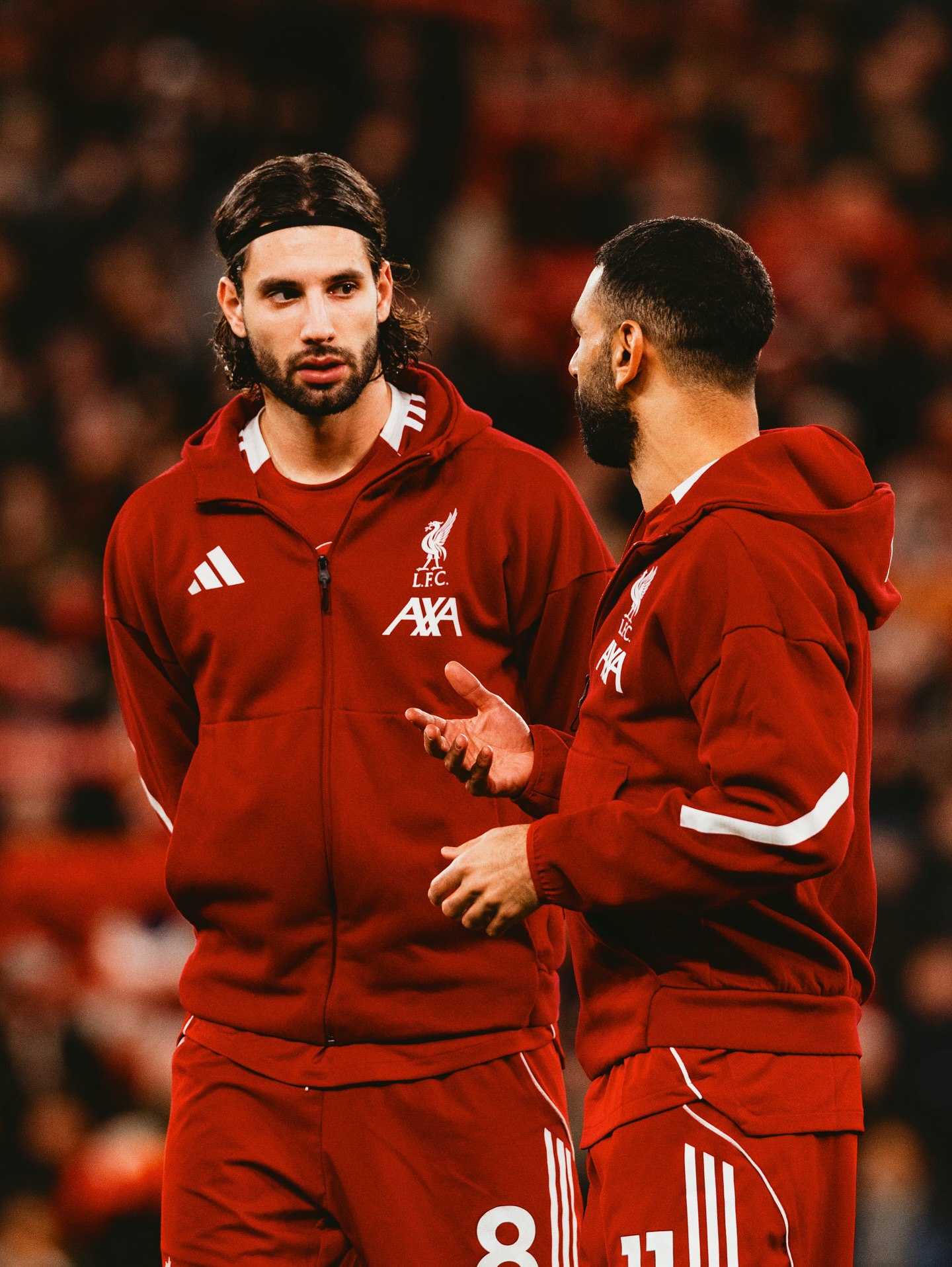 دومینیک سوبوسلای