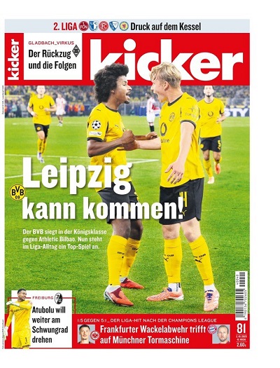 کیکر